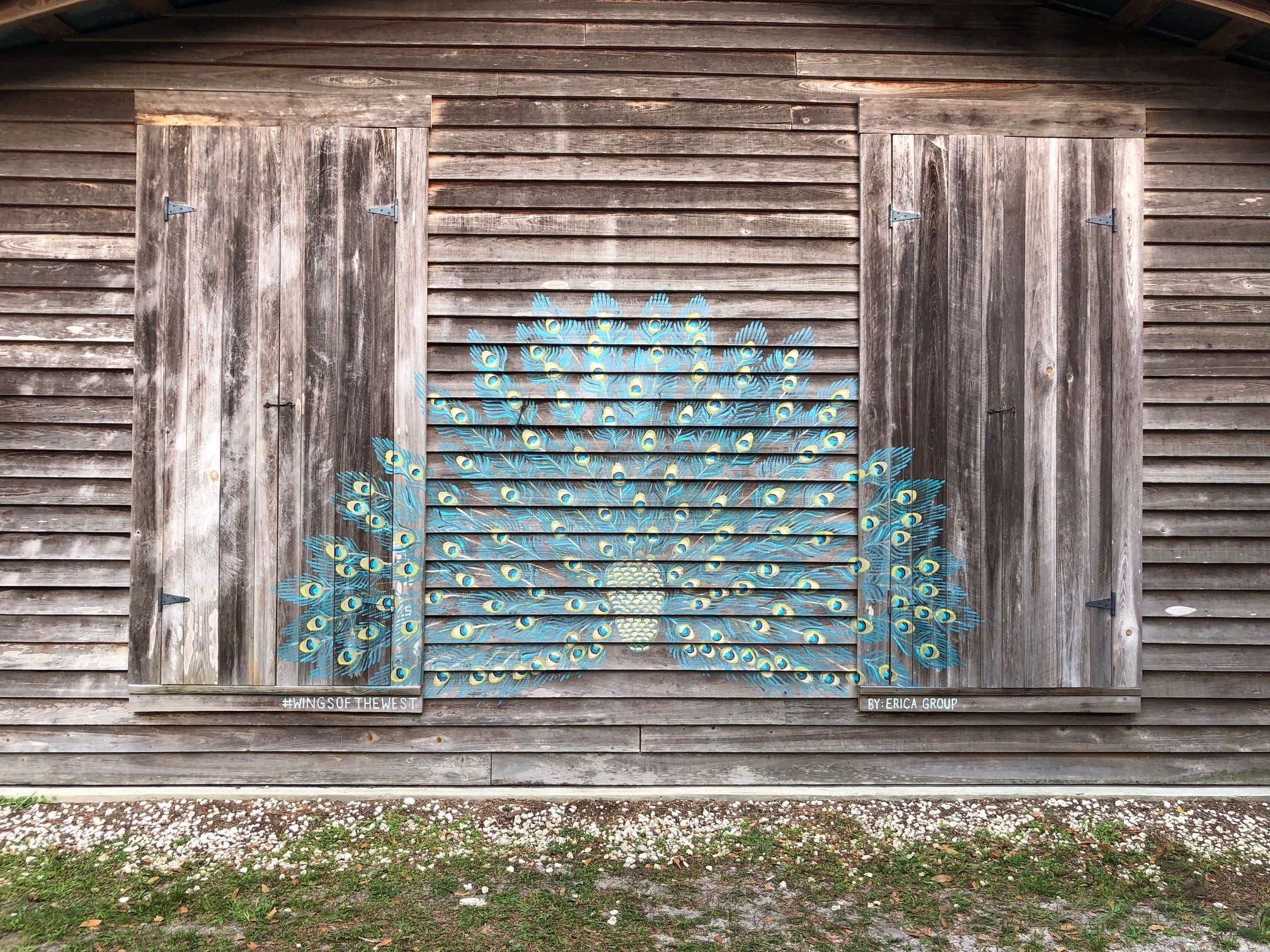 How the 'Wings of the West' Series Showcases Life in Volusia County, FL